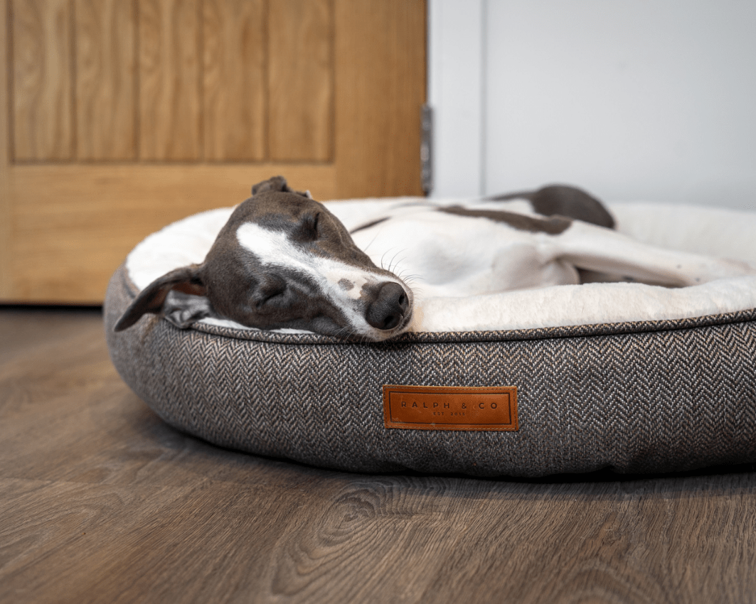 Ralph & Co Lincoln Luxury Donut Dog Bed
