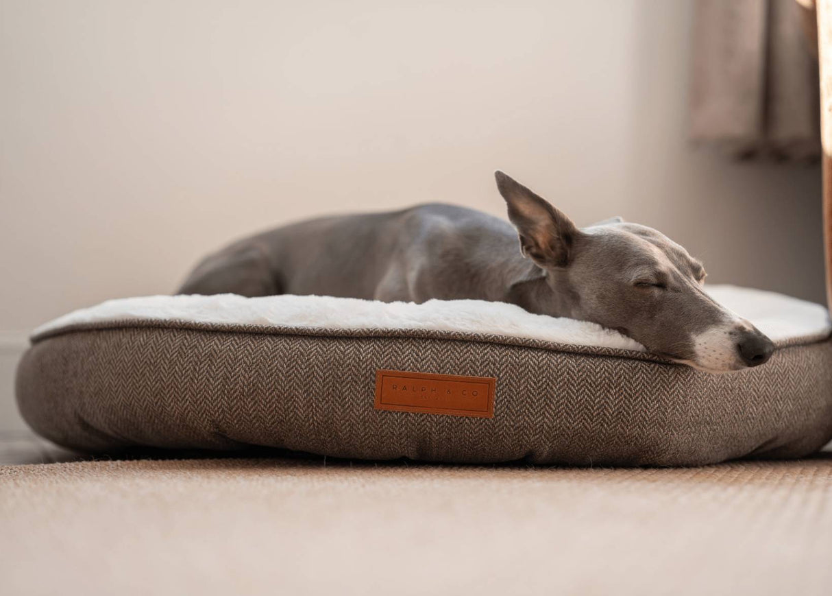 Ralph & Co Lincoln Luxury Donut Dog Bed