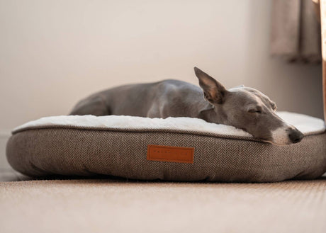 Ralph & Co Lincoln Luxury Donut Dog Bed