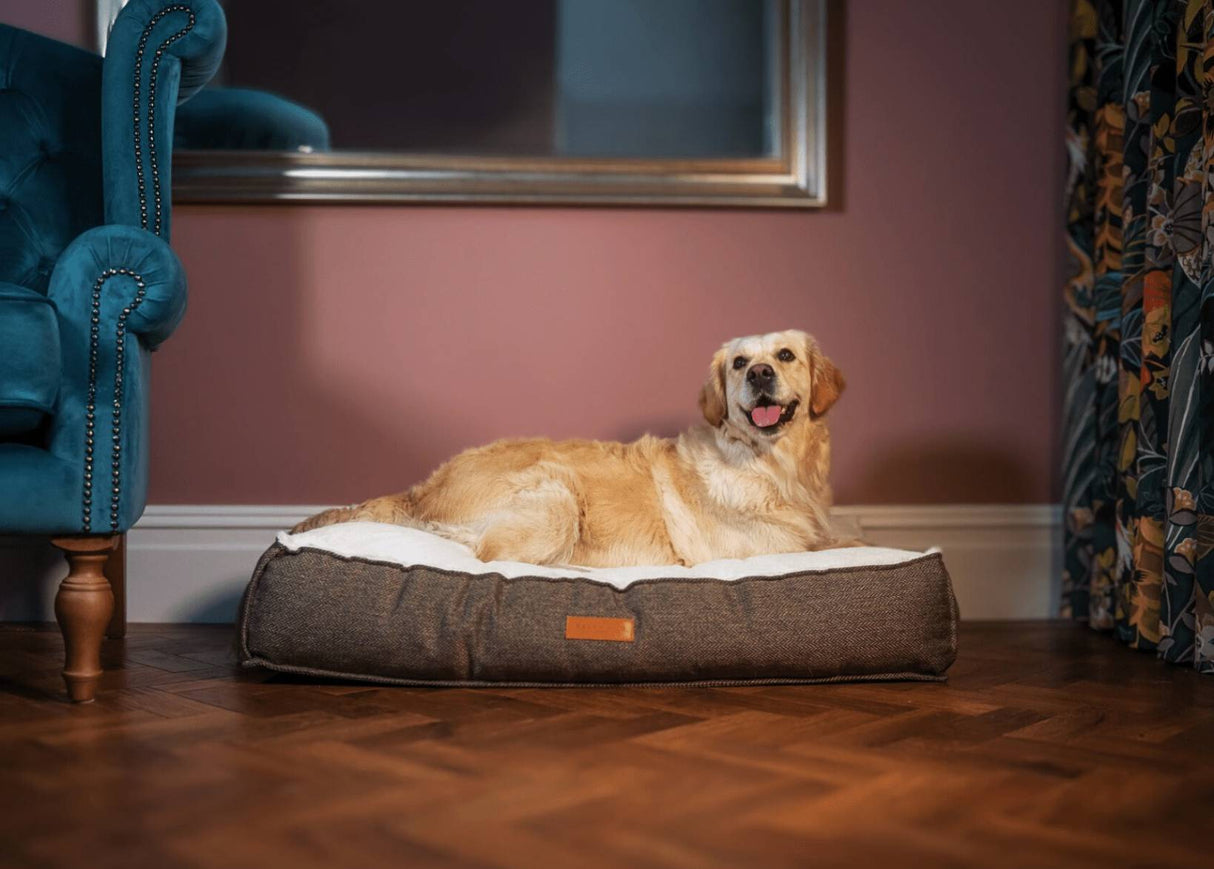 Ralph & Co Lincoln Luxury Pillow Dog Bed