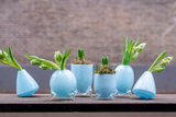Lowlands Design Evita Mouthblown Glass Vase - Set of 4