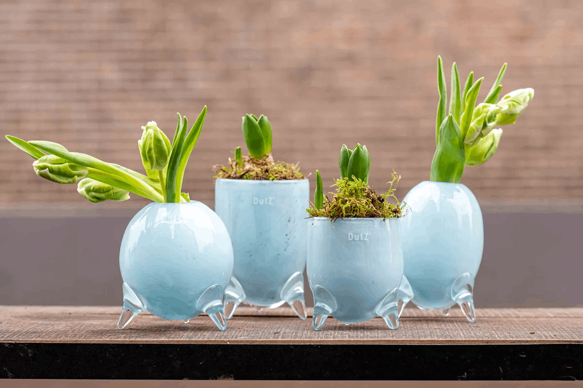 Lowlands Design Evita Mouthblown Glass Vase - Set of 4