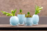 Lowlands Design Evita Mouthblown Glass Vase - Set of 4