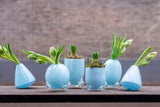 Lowlands Design Evita Mouthblown Glass Vase - Set of 4