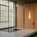 Tala Voronoi III Pendant Light in Brass