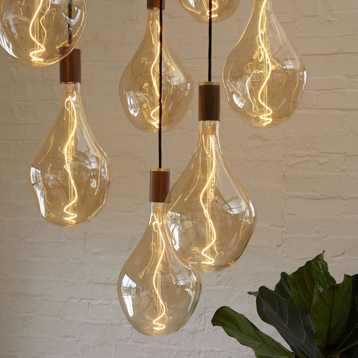 Tala Voronoi III Pendant Light in Walnut