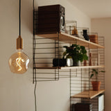 Tala Voronoi I Plug-In Pendant in Brass