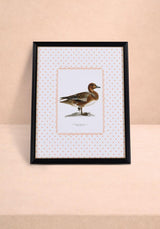 Duck I Framed Print “The Most Dashing Duck” Wall Art | Casa by Josephine