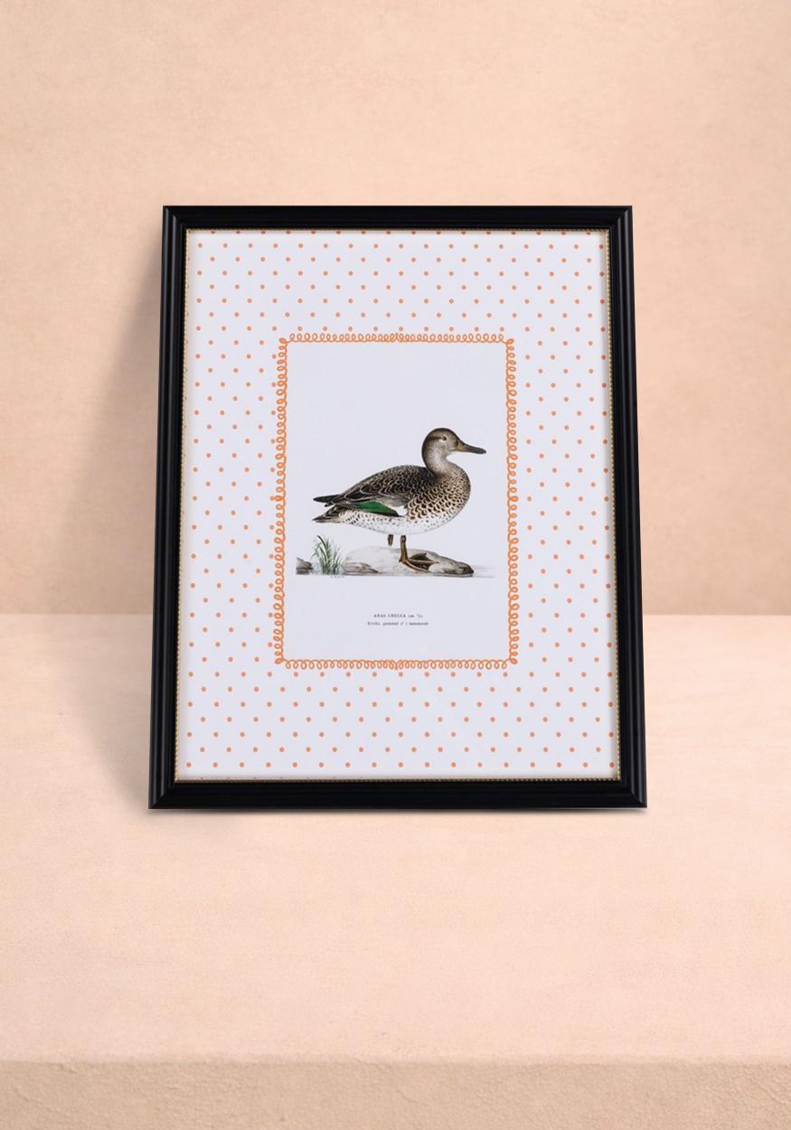 Casa by Josephine Jenno Duck II Framed Print Wall Art