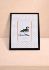 Casa by Josephine Jenno Duck II Framed Print Wall Art