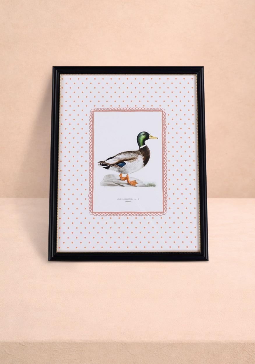 Feather and Grace Duck Print III | Casa by Josephine Jenno