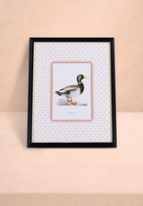 Feather and Grace Duck Print III | Casa by Josephine Jenno