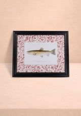 Casa by Josephine Jenno Fish II Framed Print