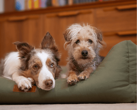 Ralph & Co Henley Luxury Waterproof Dog Bed