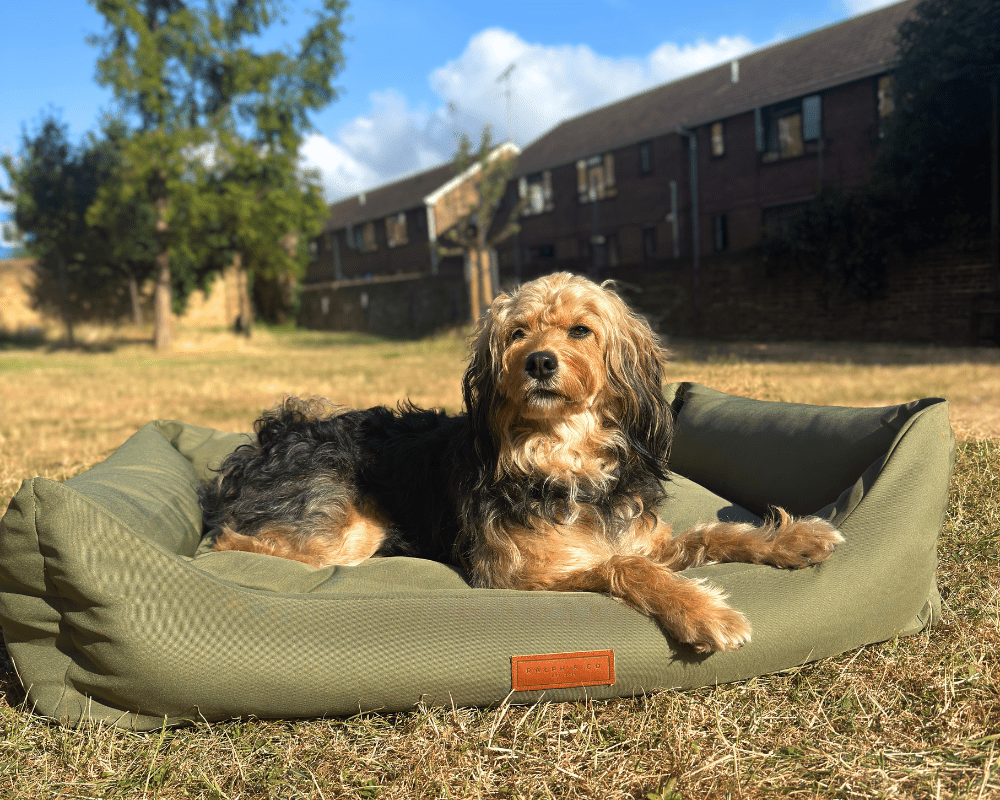 Ralph & Co Henley Luxury Waterproof Dog Bed