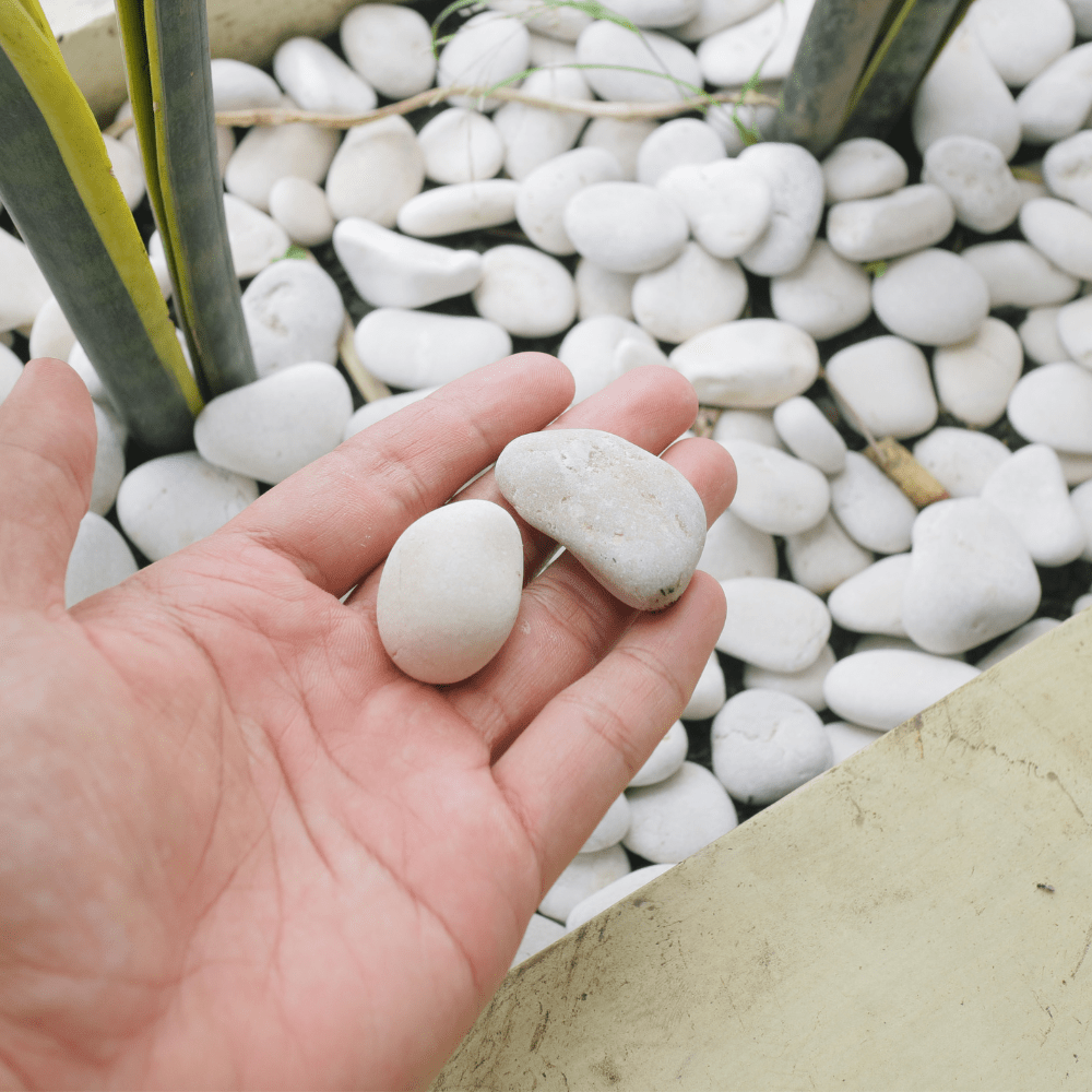 Dandy's White Pebbles 20–40mm Bulk Bag