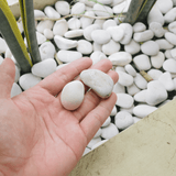 Dandy's White Pebbles 20–40mm Bulk Bag