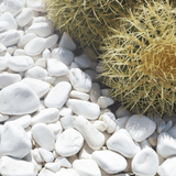 Dandy's White Pebbles 20–40mm Bulk Bag