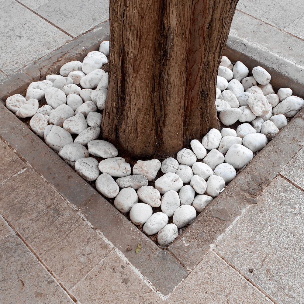 Dandy's White Pebbles 20–40mm Bulk Bag