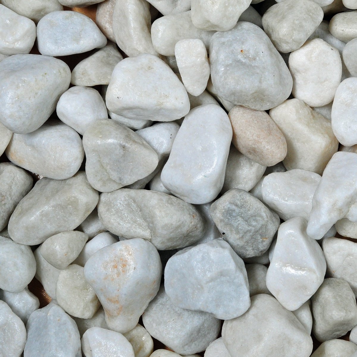 Dandy's White Pebbles 20–40mm Bulk Bag