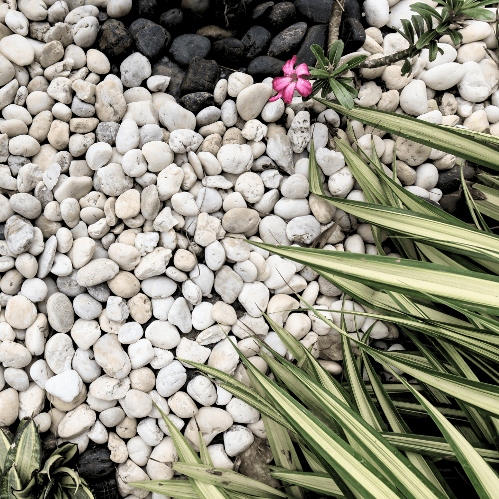 Dandy's White Pebbles 20–40mm Bulk Bag