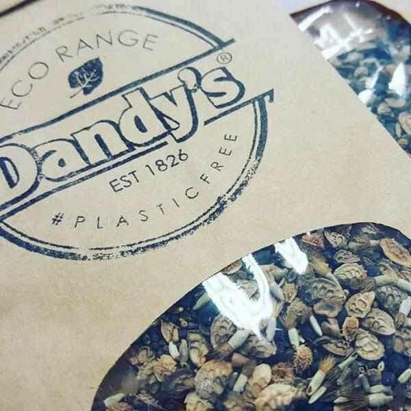 Dandy's Wild Flower Seed Mix - 100% Wild Flower