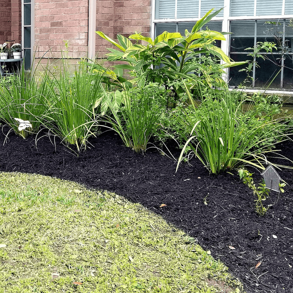 Dandy’s Soil Improver & Conditioner