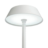 Pagazzi Energize White LED Rechargeable Desk Lamp with Touch Sensor