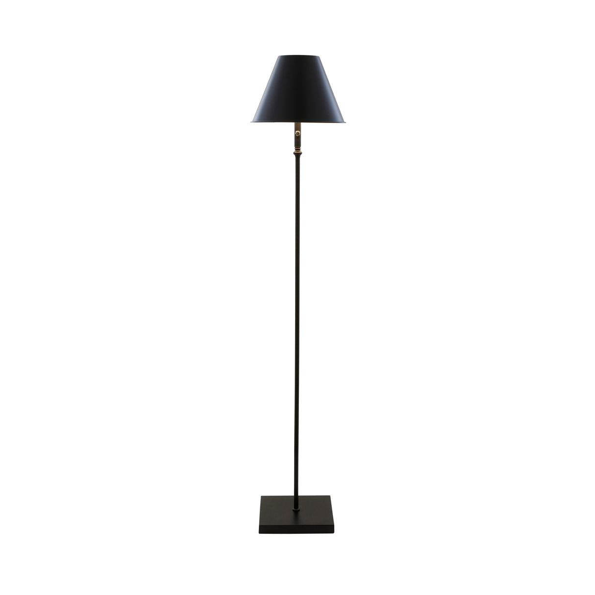 Pagazzi Lustre Black LED Rechargeable Floor Lamp