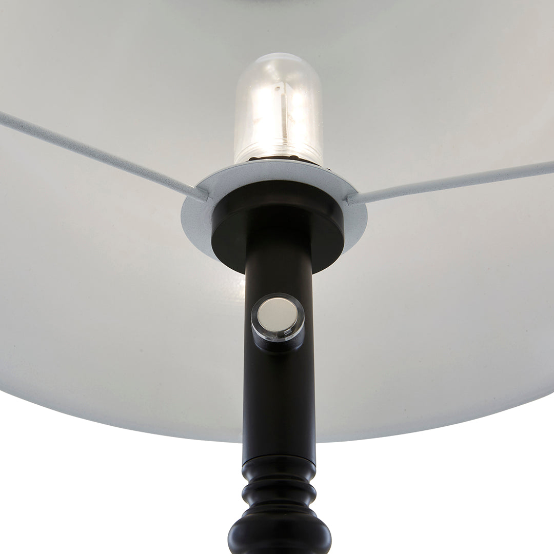 Pagazzi Lustre Black LED Rechargeable Floor Lamp