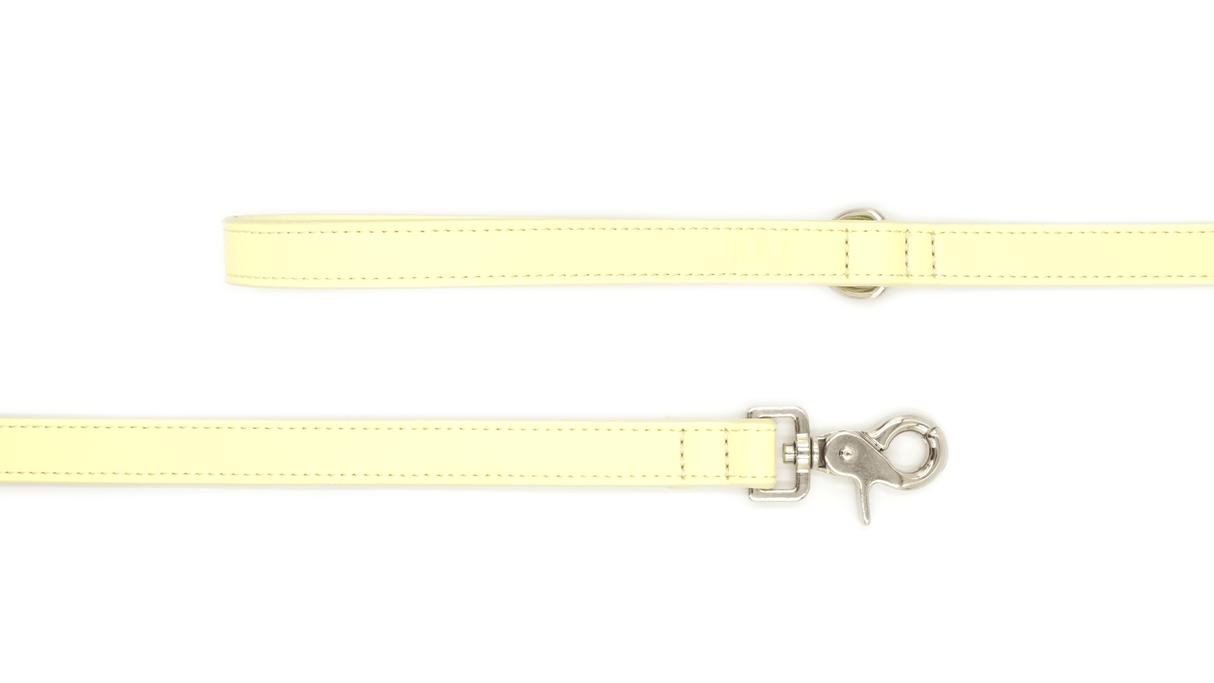 Ralph & Co Yellow Leather Dog Lead