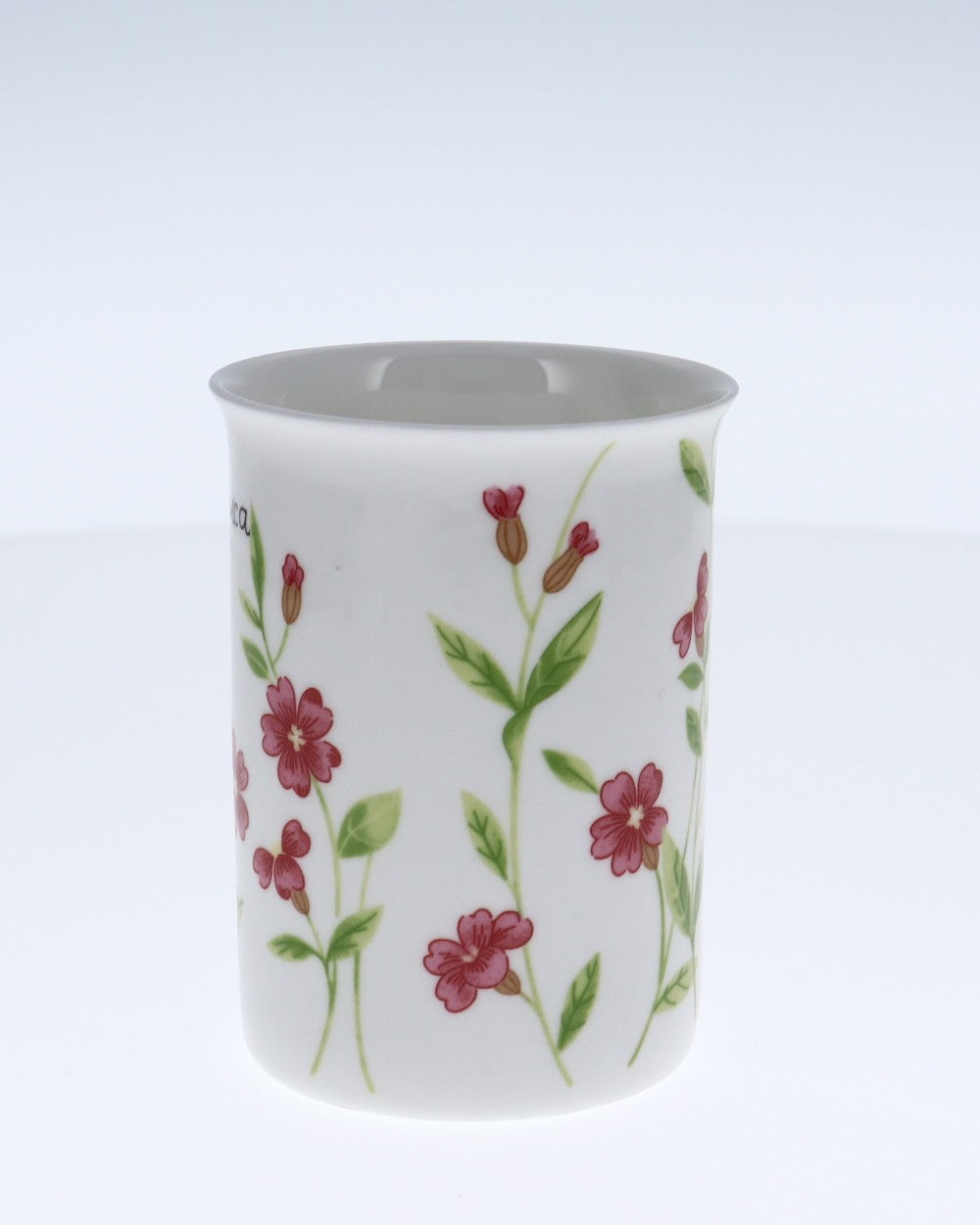 Image - Rayware Botanical Fine Bone China Mugs, Assorted