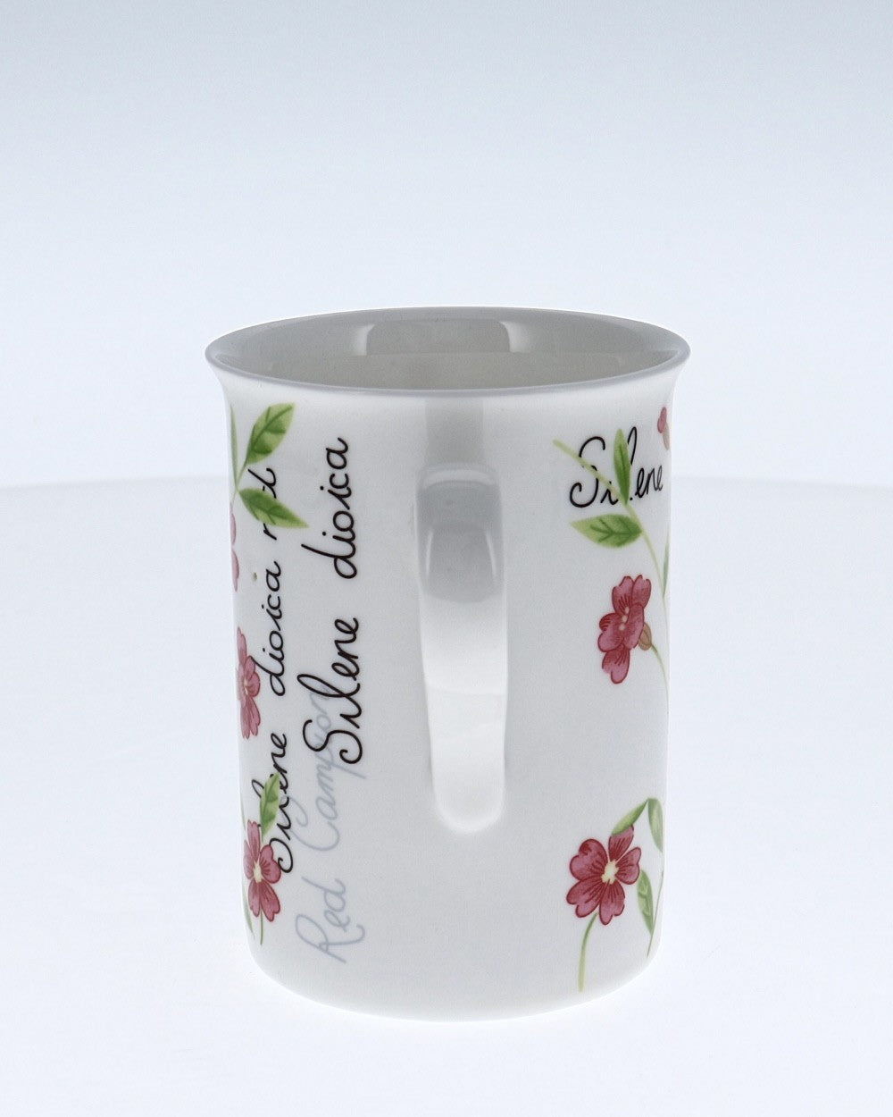 Image - Rayware Botanical Fine Bone China Mugs, Assorted
