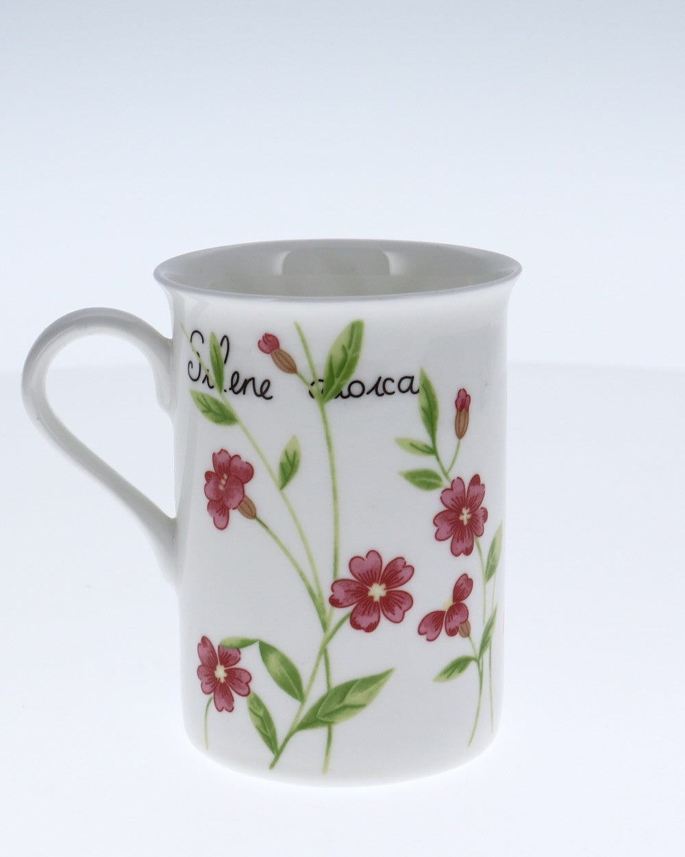 Image - Rayware Botanical Fine Bone China Mugs, Assorted