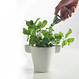 Image - Typhoon Seasonings Herb and Pot Snip Ceramic Set, White