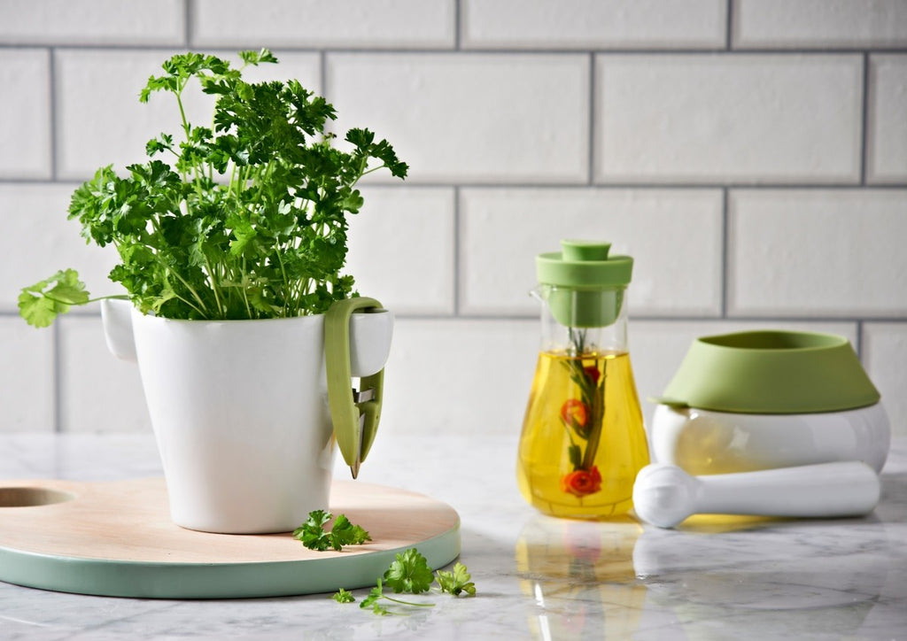 Image - Typhoon Seasonings Herb and Pot Snip Ceramic Set, White