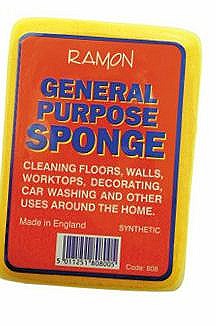 Image - Ramon General Purpose Sponge