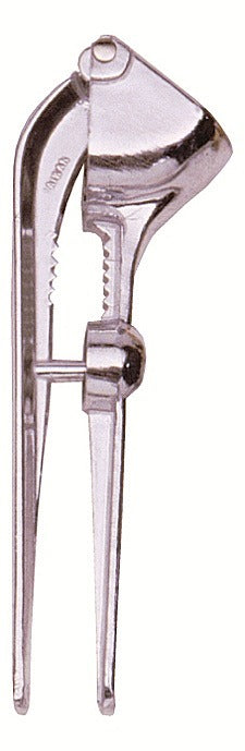 Image - Garlic Press With Cherry And Olive Stoner, Silver