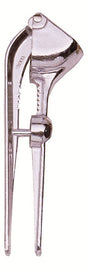 Image - Garlic Press With Cherry And Olive Stoner, Silver