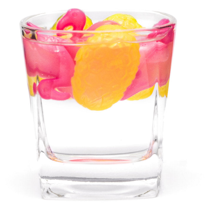 Image - Original Products Pineapple and Flamingo Ice Coolers, Pack of 18, Pink and Yellow