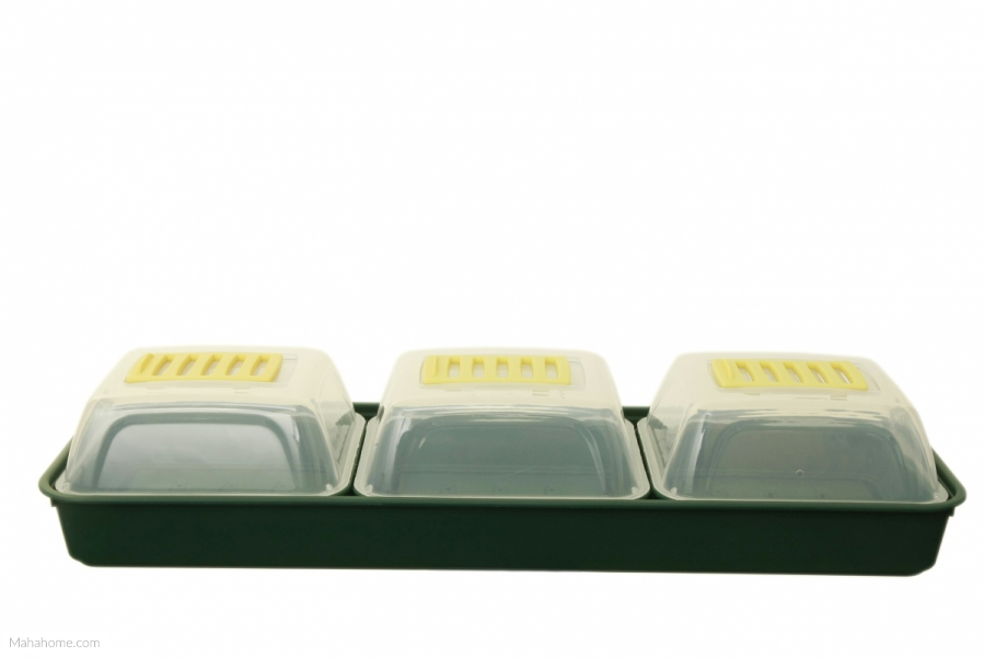 Windowsill Propagator Set