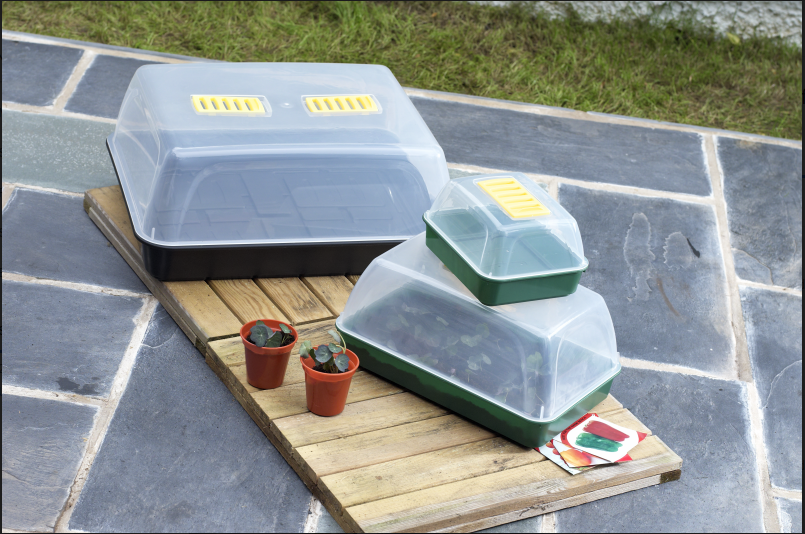 Image - Whitefurze Windowsill Propagator Set, Green