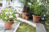 Image - Whitefurze Round Bell Planter, 38cm, Terracotta