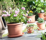 Image - Whitefurze 34cm Milano Saucer, Terracotta