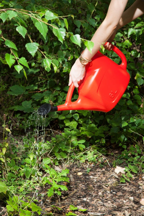 Image - Whitefurze Watering Can, 6L, Red