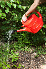 Image - Whitefurze Watering Can, 7L, Red