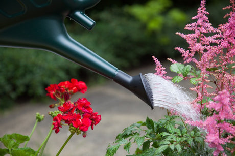 Image - Whitefurze Watering Can, 10L, Red