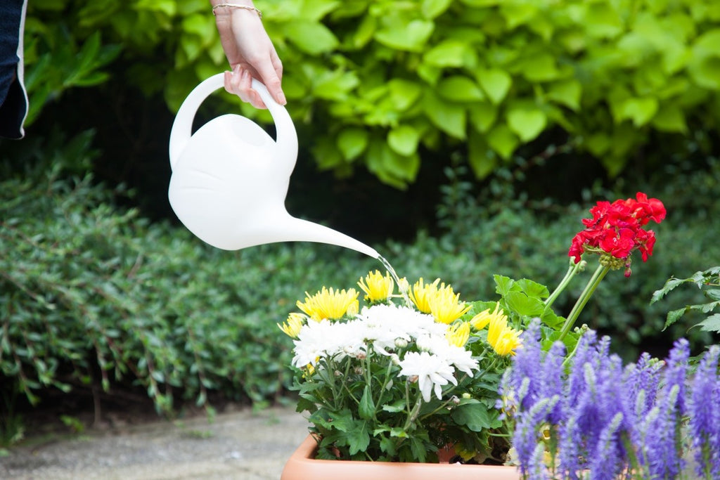 Image - Whitefurze 1.5L Indoor Watering Can White