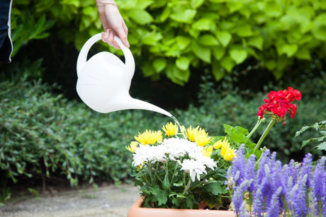 Image - Whitefurze Indoor Watering Can, 2.5L, Blue