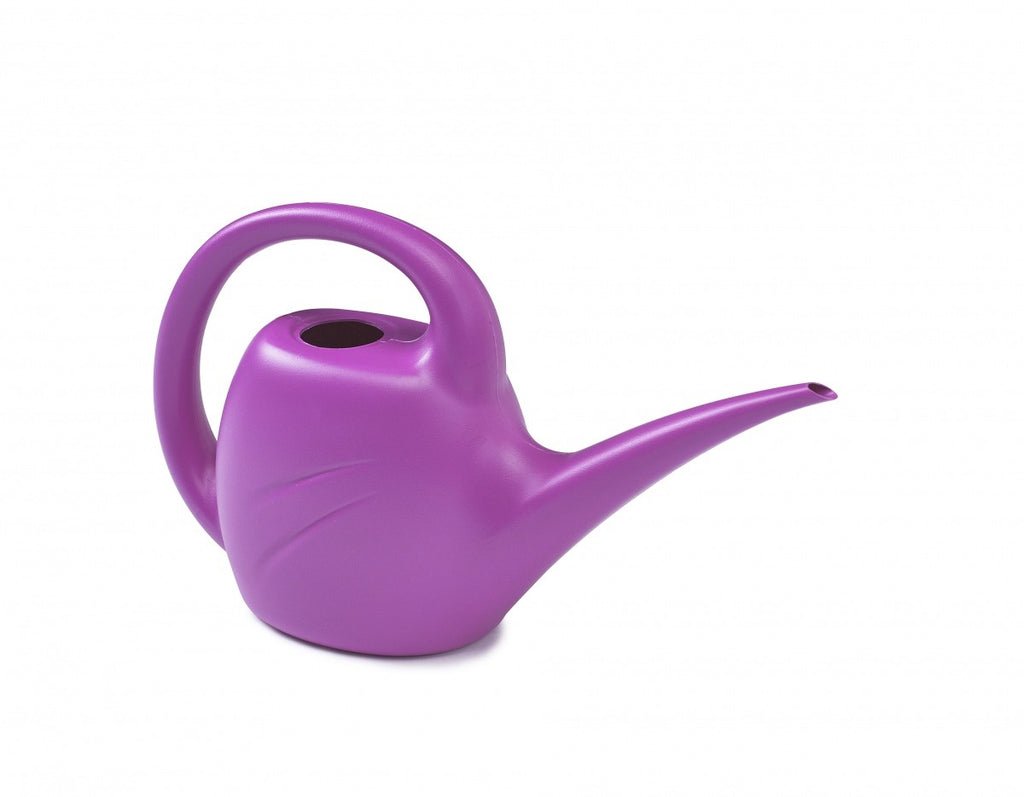 Image - Whitefurze Indoor Watering Can, 2.5L, Fuchsia